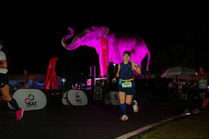 BIB: 
                            <button type="button" onclick="openModal(26543469)" class="btn btn-primary btn-sm float-right btn-popup" data-toggle="modal" data-target=".modal-high-quality">
                        <i class="fas fa-shopping-cart"></i> Add to Cart
                    </button>
                                            <button type="button" onclick="isThisMe(26543469, true)" class="btn btn-success btn-sm float-right btn-popup btn-isme hidden" data-toggle="tooltip" data-placement="bottom" title="นี่คือรูปของคุณใช่ไหม คลิกที่นี่เพื่อเอาเข้าอัลบั้ม">
                        <i class="fas fa-plus"></i> Add to album
                    </button>
                    <button type="button" onclick="isThisMe(26543469, false)" class="btn btn-warning btn-sm float-right btn-popup btn-isnotme hidden">
                        <i class="fas fa-ban"></i> Remove from album
                    </button>